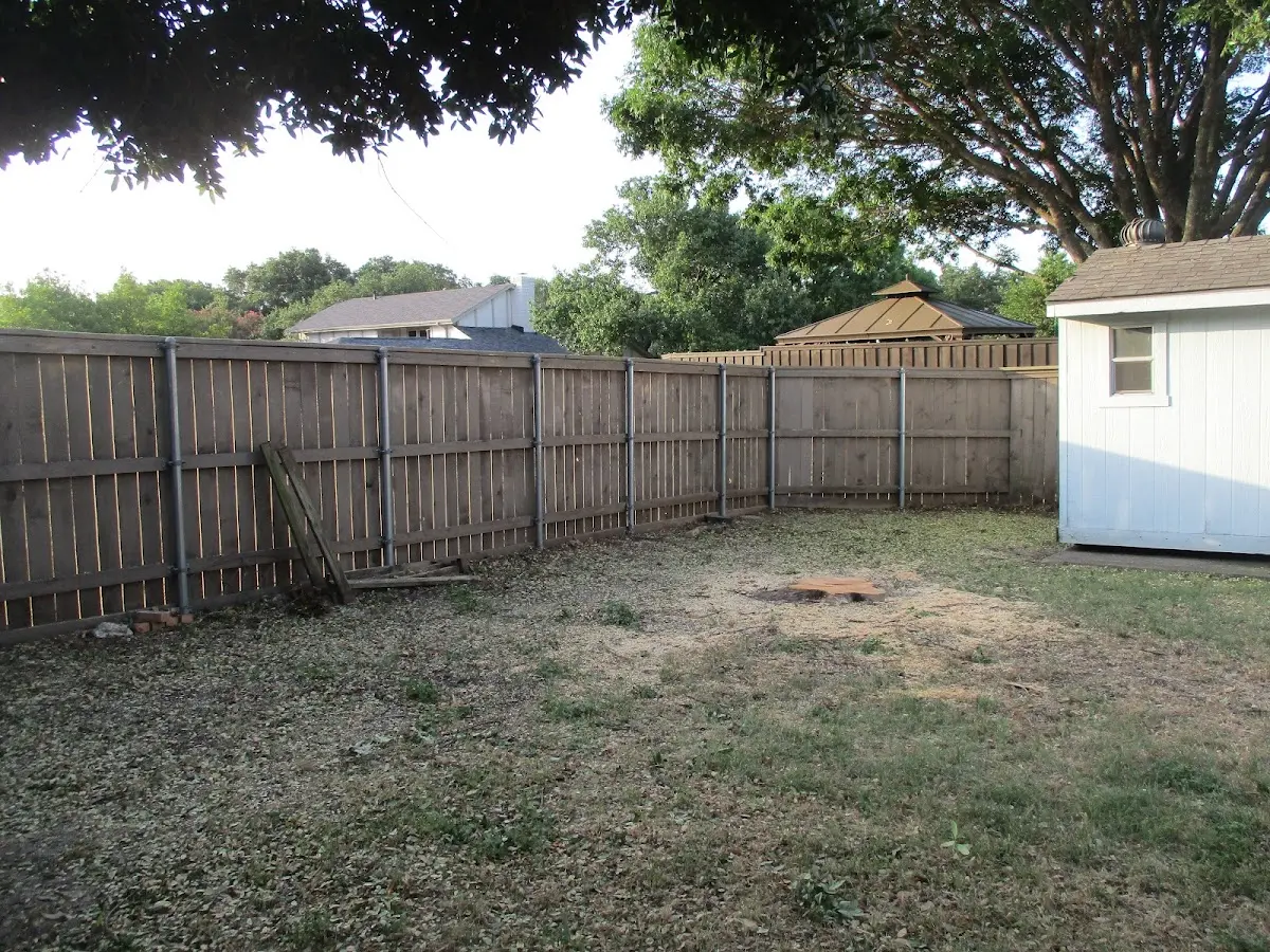 Cleared yard after professional tree removal in North Bloomfield